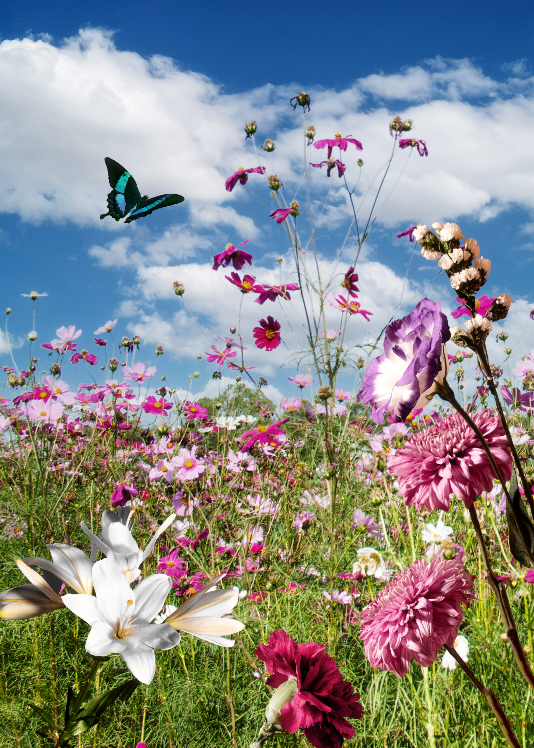 spring-scene-with-flowers-butterfly